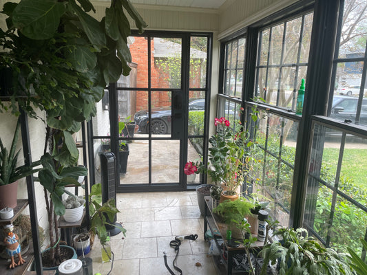 Pre-Order: Light 6 - Single + Sidelights | Steel French Doors (Ships 16-18 Weeks)