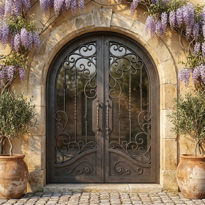 Big Sky 2 - Arch | Wrought Iron Door