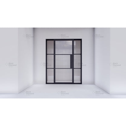 Light 3 - Single + Sidelights-Steel French Doors-Black Diamond Iron Doors