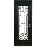 Pre-Order: Kitzbuhel | Wrought Iron Door (Ships 16-18 Weeks)